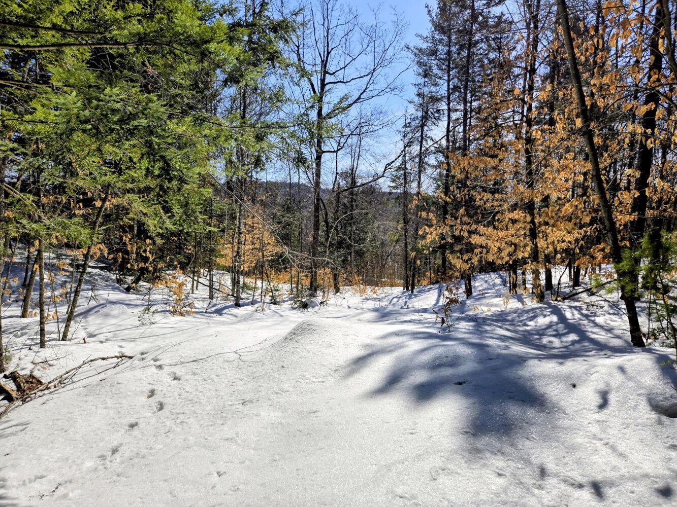 Lot 10 Staples Pond Road Temple, ME 04984 - Photo 43 of 56