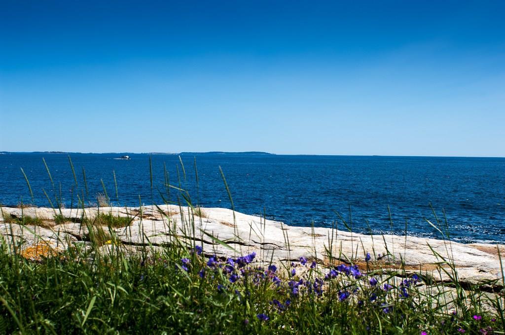 5 Salt Pond Point New Harbor, ME 04554 - Photo 18 of 27 To the north are the islands off St....