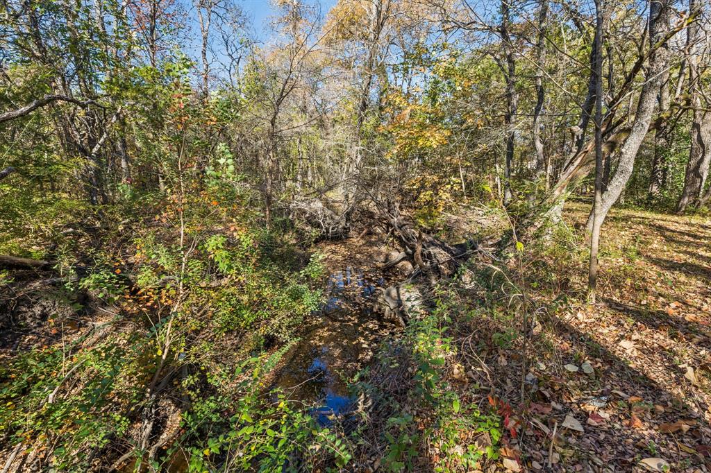 Tbd Stinson Road Lucas, TX 75002 - Photo 6 of 11 a view of a yard with a tree