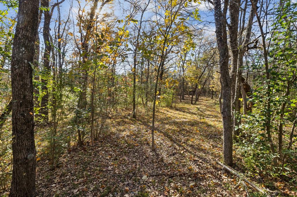 Tbd Stinson Road Lucas, TX 75002 - Photo 7 of 11