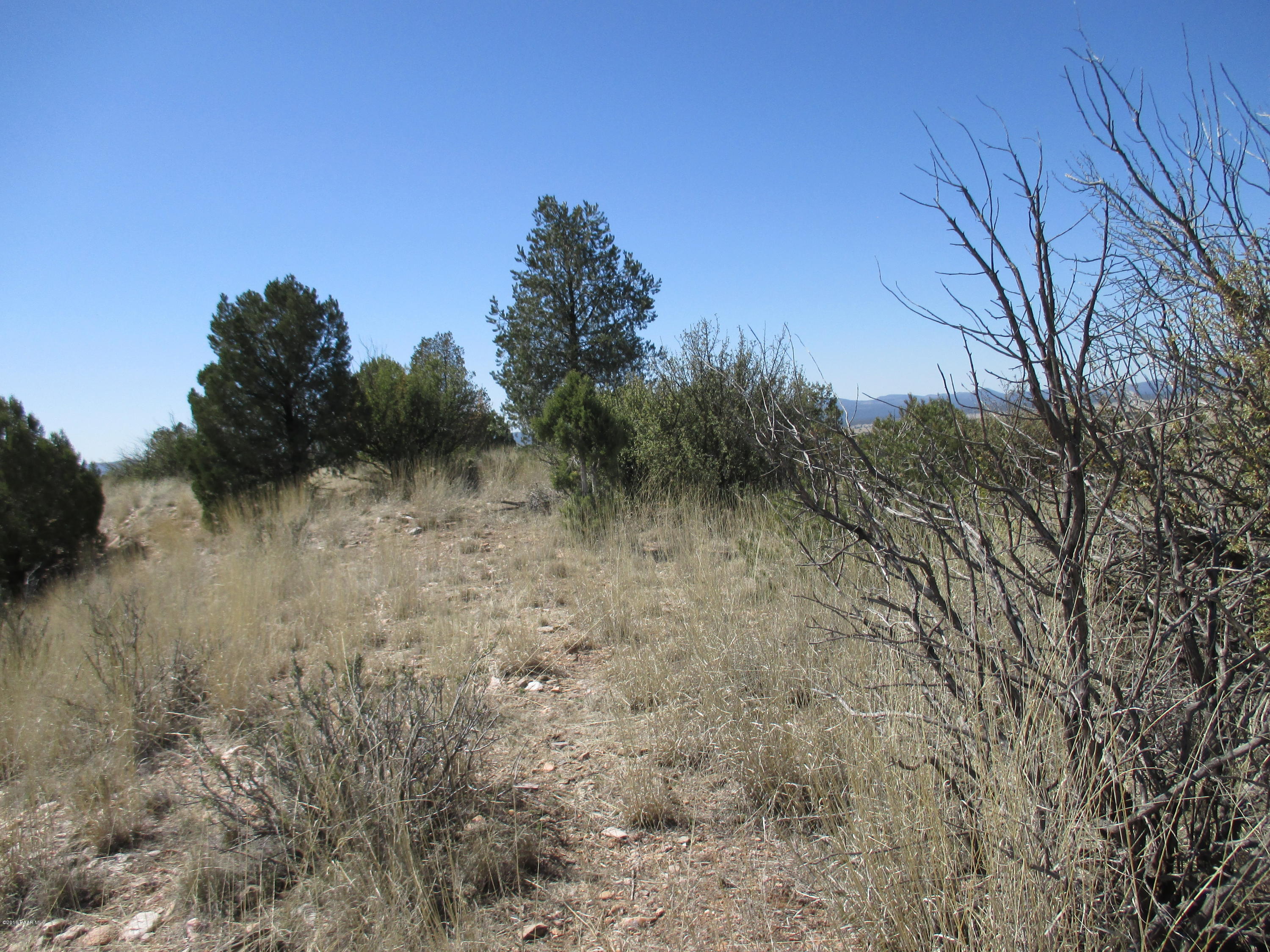 17801 Crossroads Ranch Road Prescott, AZ 86305 - Photo 4 of 13 a view of a dry yard with trees