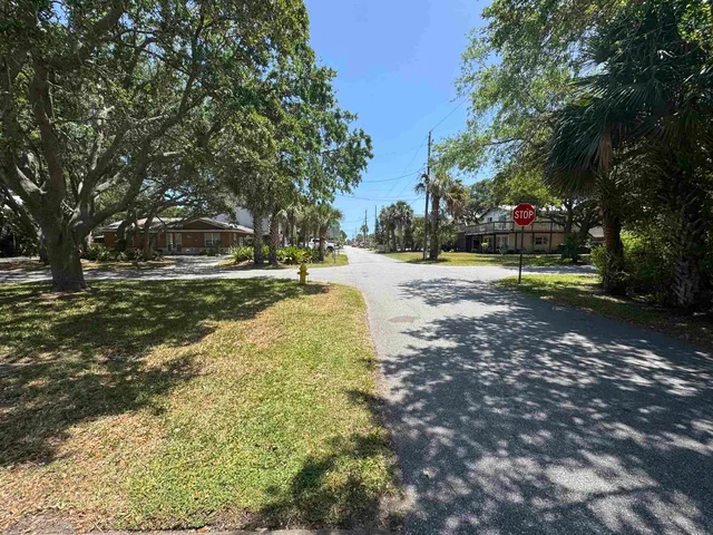 a view of a yard with plants and trees