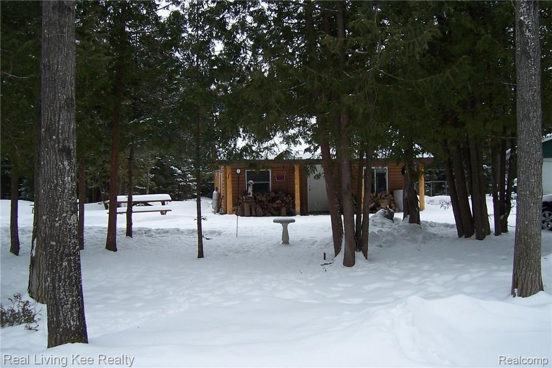 6498 Misery Bay Road Alpena, MI 49707 - Photo 8 of 34 6498 misery bay 054.JPG