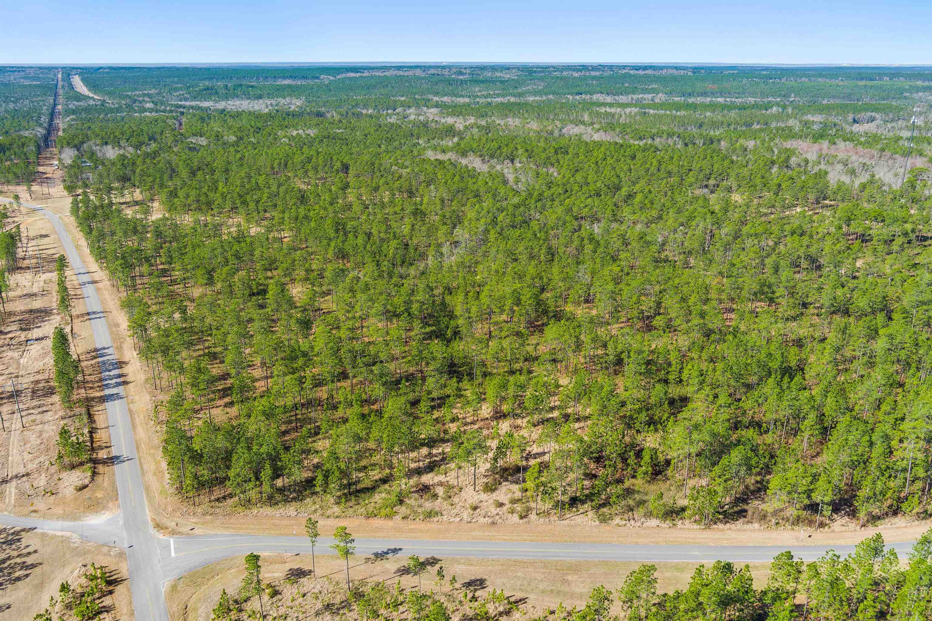 0 Robert White Road Bay Minette, AL 36507 - Photo 4 of 23