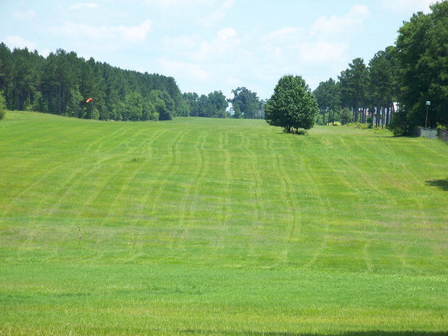 Lot 10 Burkelo Road Wagener, SC 29164 - Photo 3 of 18