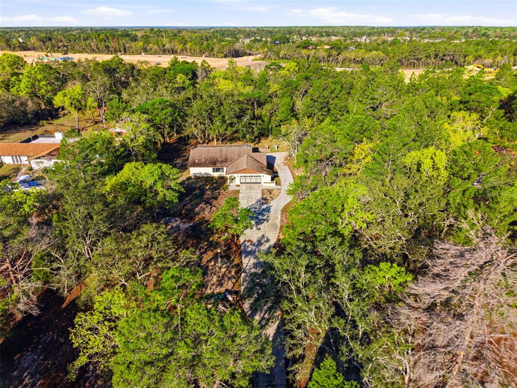 18301 Branch Road Hudson, FL 34667 - Photo 21 of 25