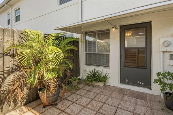 a potted plant sitting in front of a house