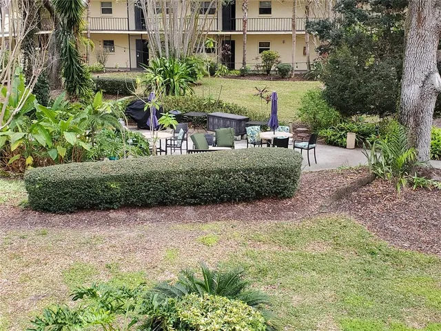 a view of a yard with plants and a large tree