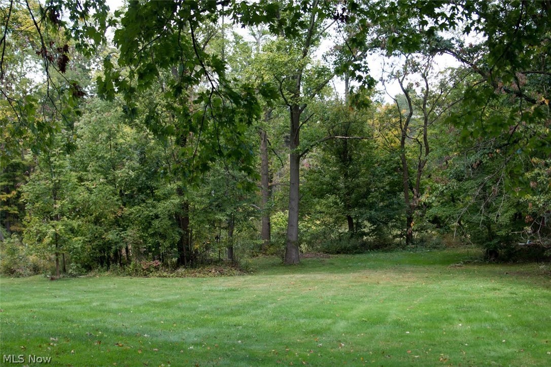 6365 Fay Road Painesville, OH 44077 - Photo 6 of 6 Gallery Image 6