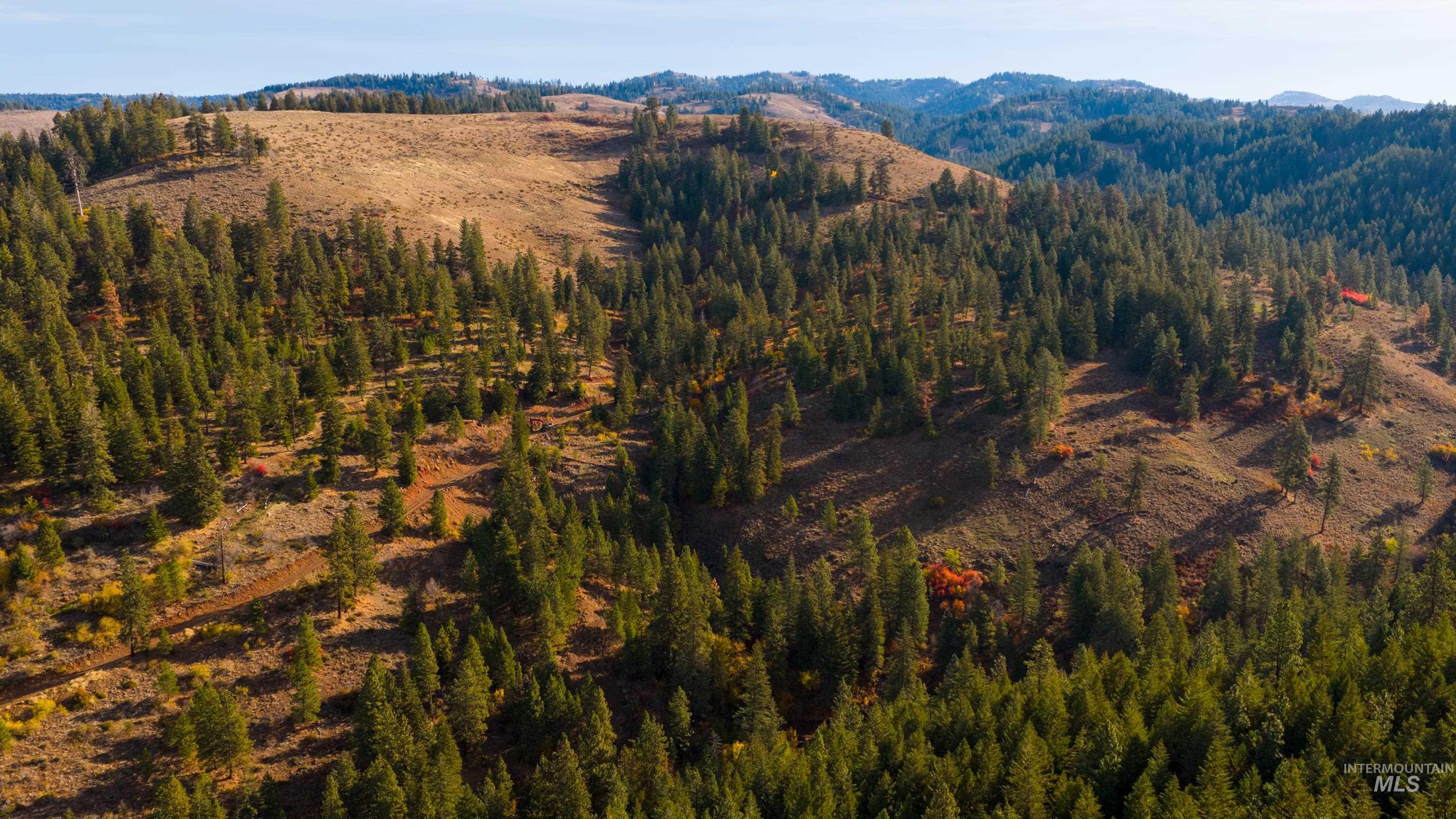 Tbd Tbd Tbd Entire Ranch Council, ID 83612 - Photo 20 of 50