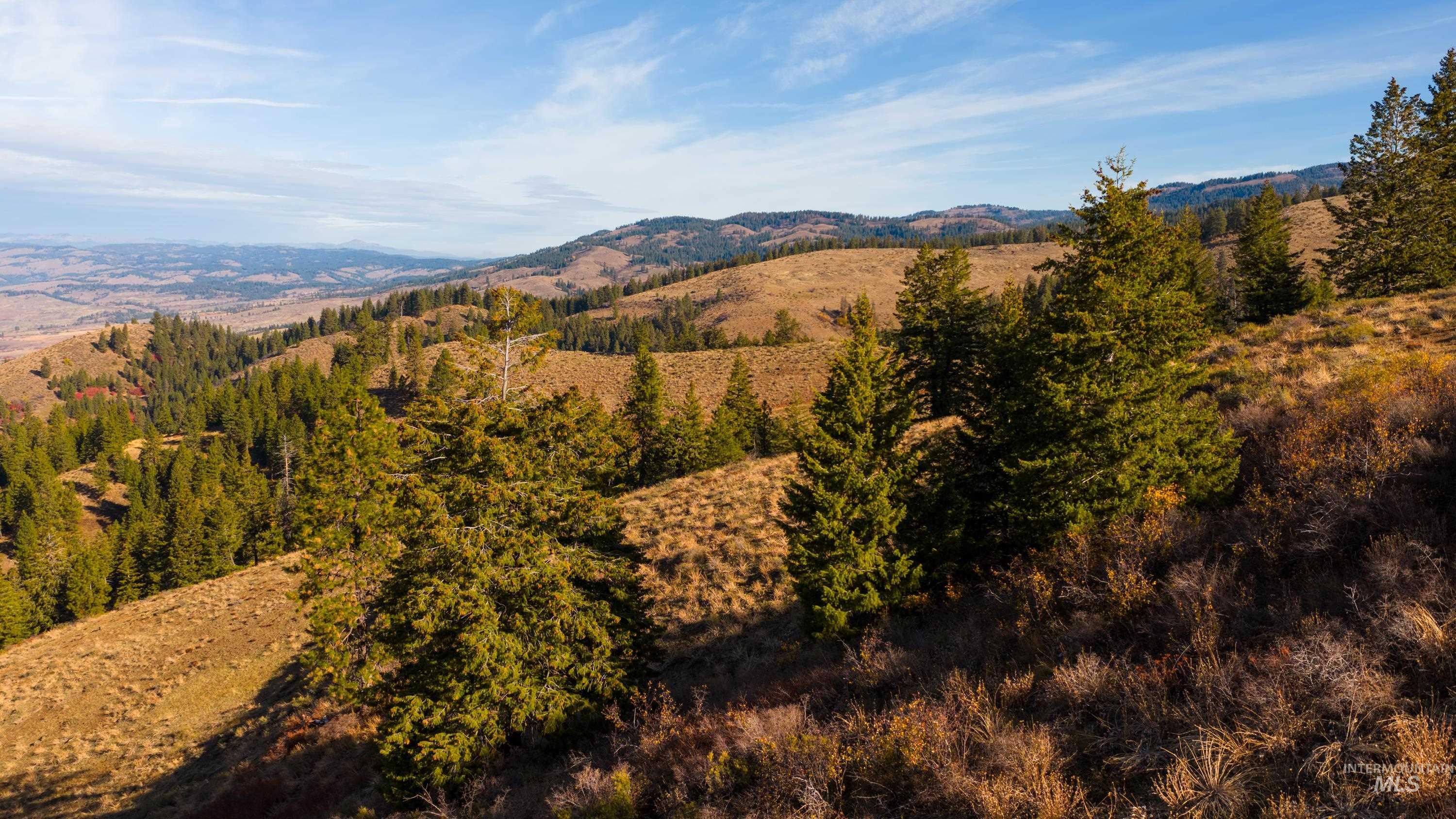 Tbd Tbd Tbd Entire Ranch Council, ID 83612 - Photo 21 of 50