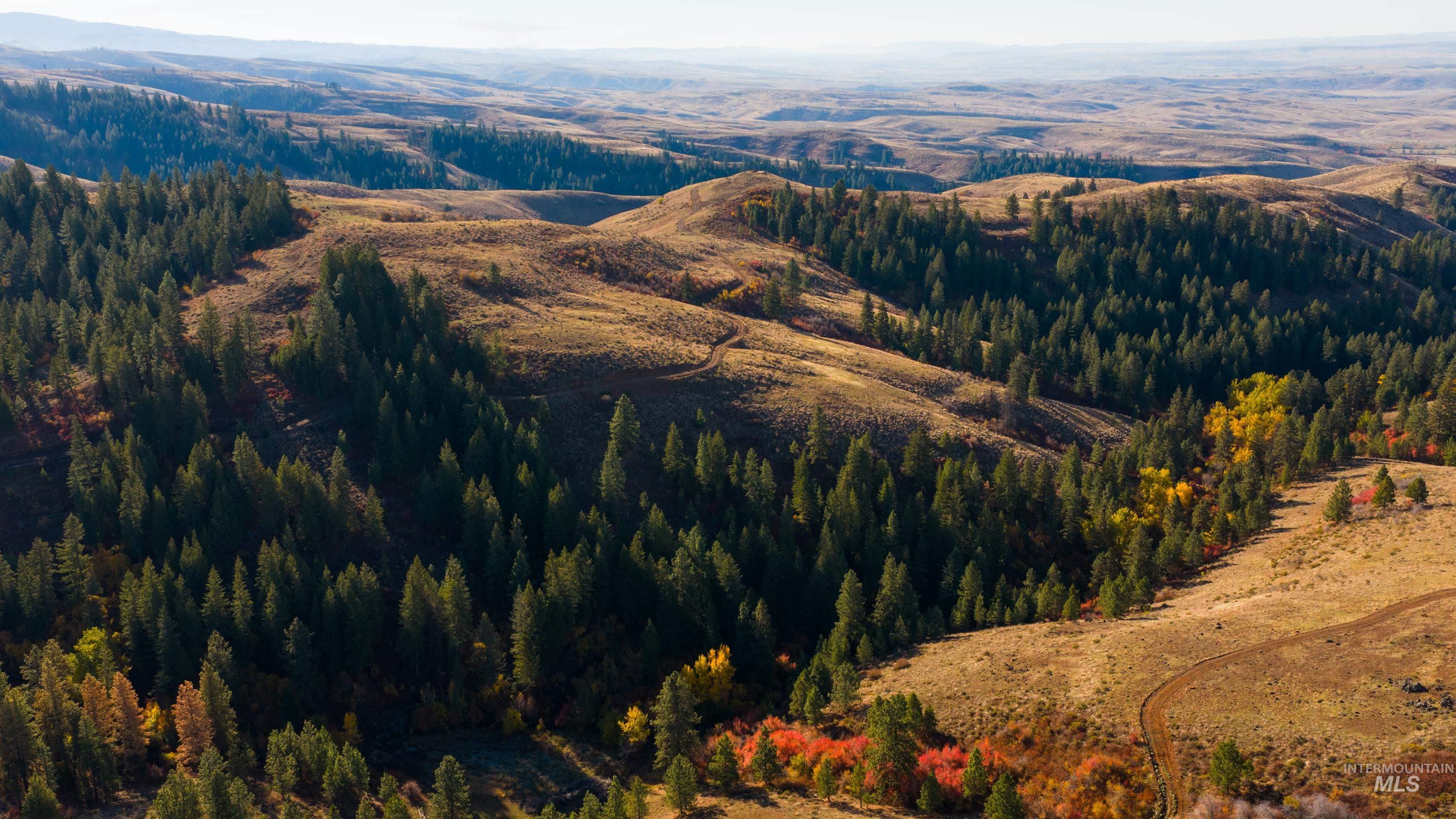 Tbd Tbd Tbd Entire Ranch Council, ID 83612 - Photo 22 of 50