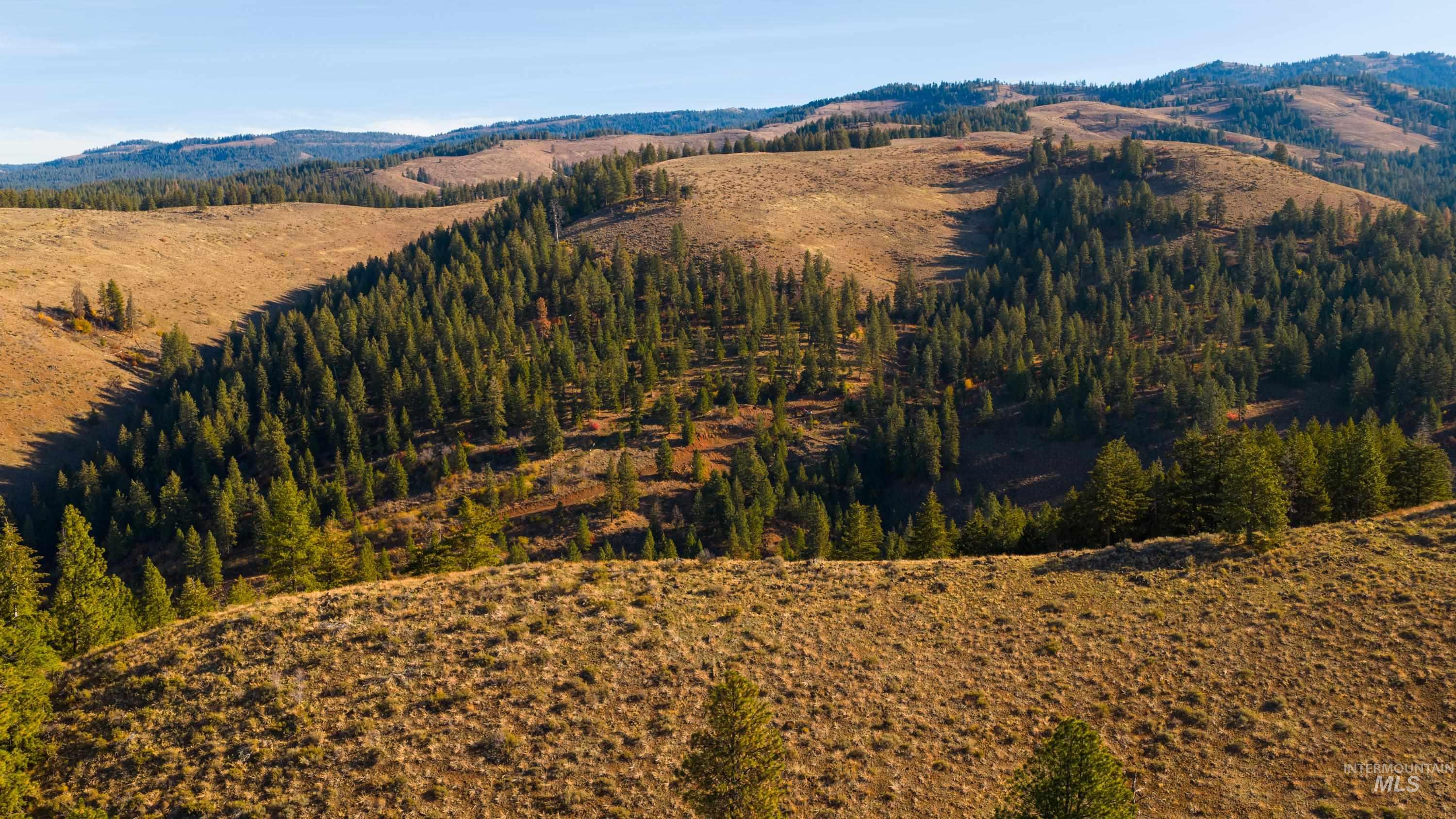 Tbd Tbd Tbd Entire Ranch Council, ID 83612 - Photo 24 of 50