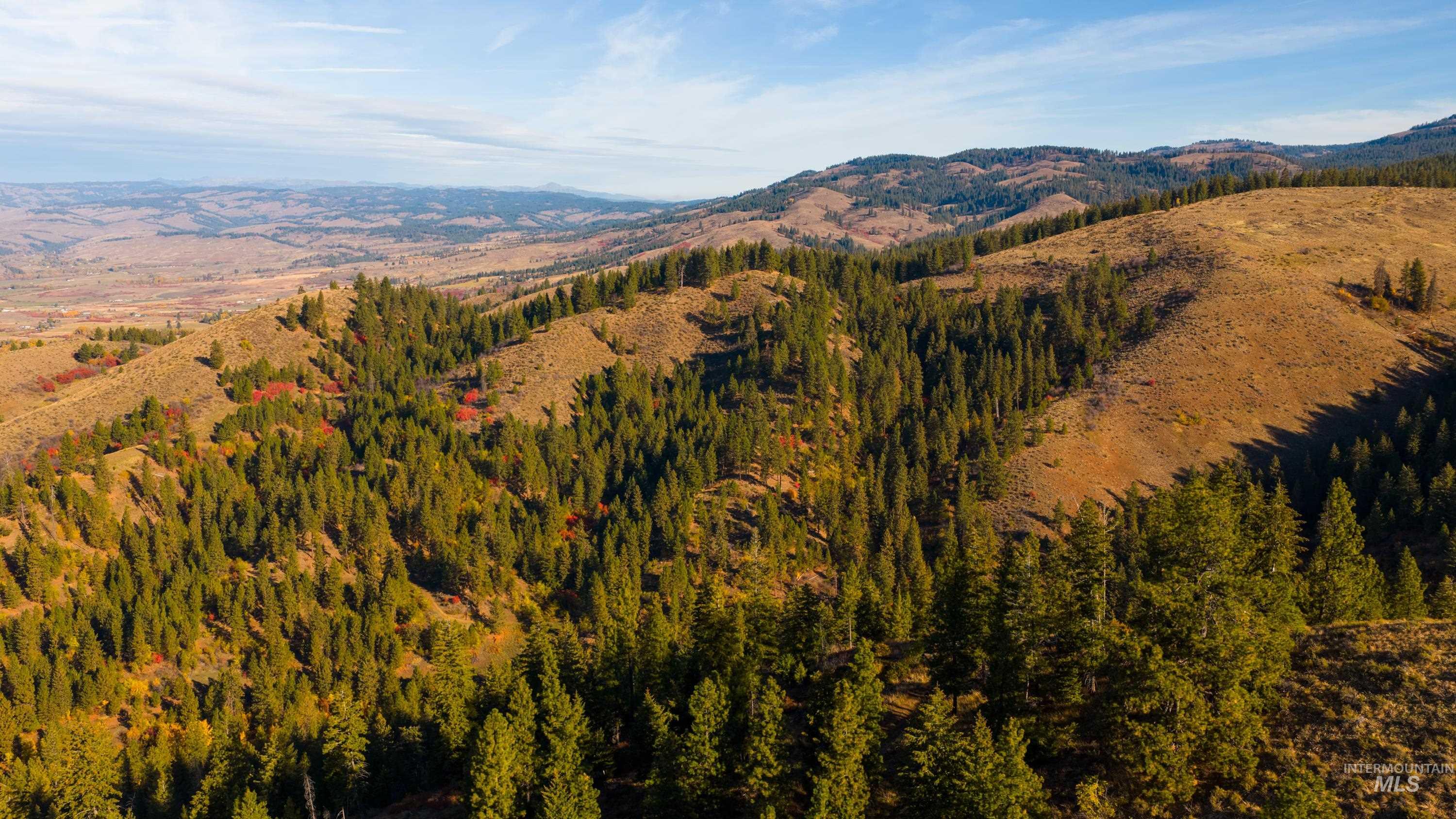 Tbd Tbd Tbd Entire Ranch Council, ID 83612 - Photo 25 of 50