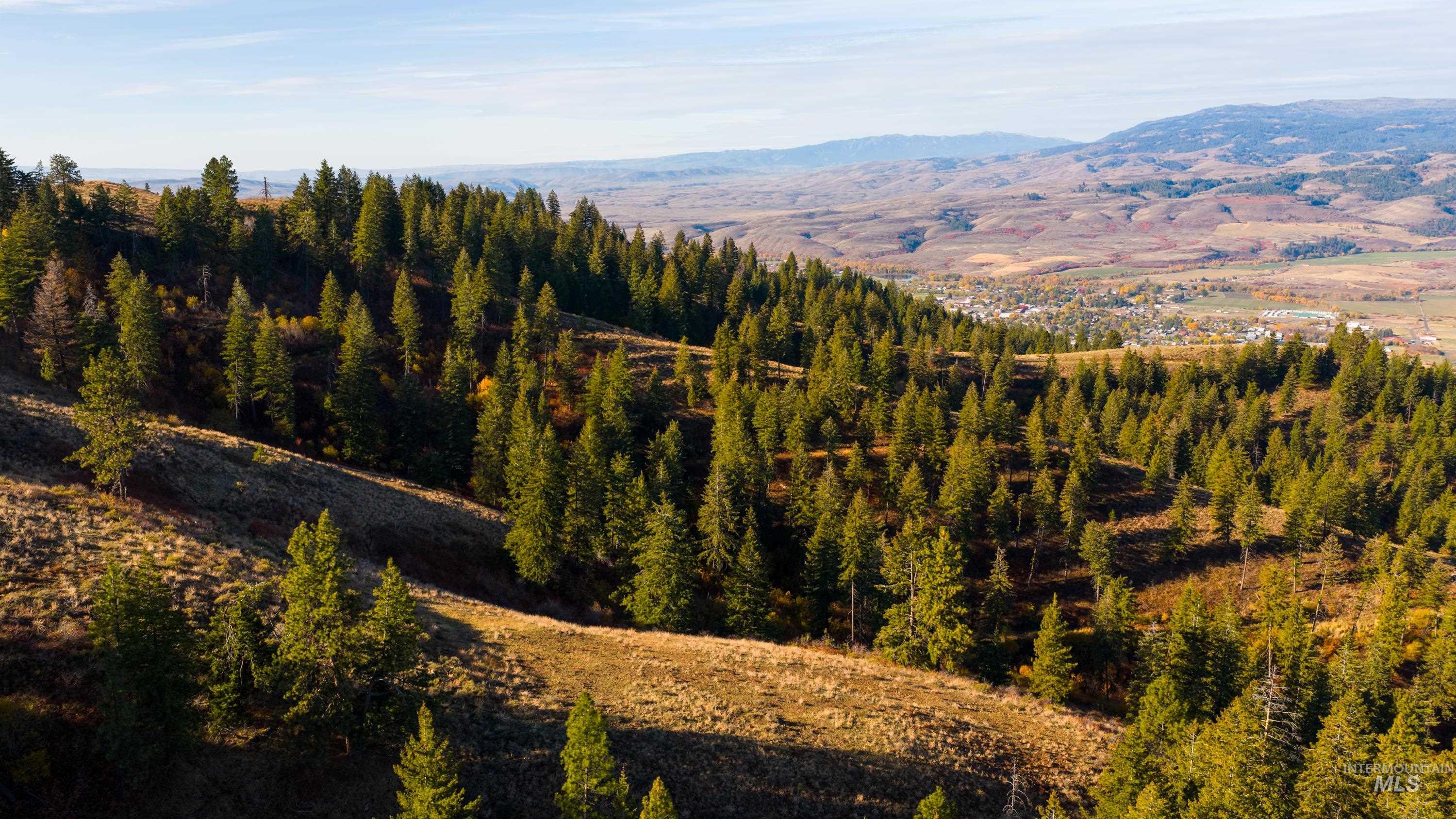 Tbd Tbd Tbd Entire Ranch Council, ID 83612 - Photo 26 of 50
