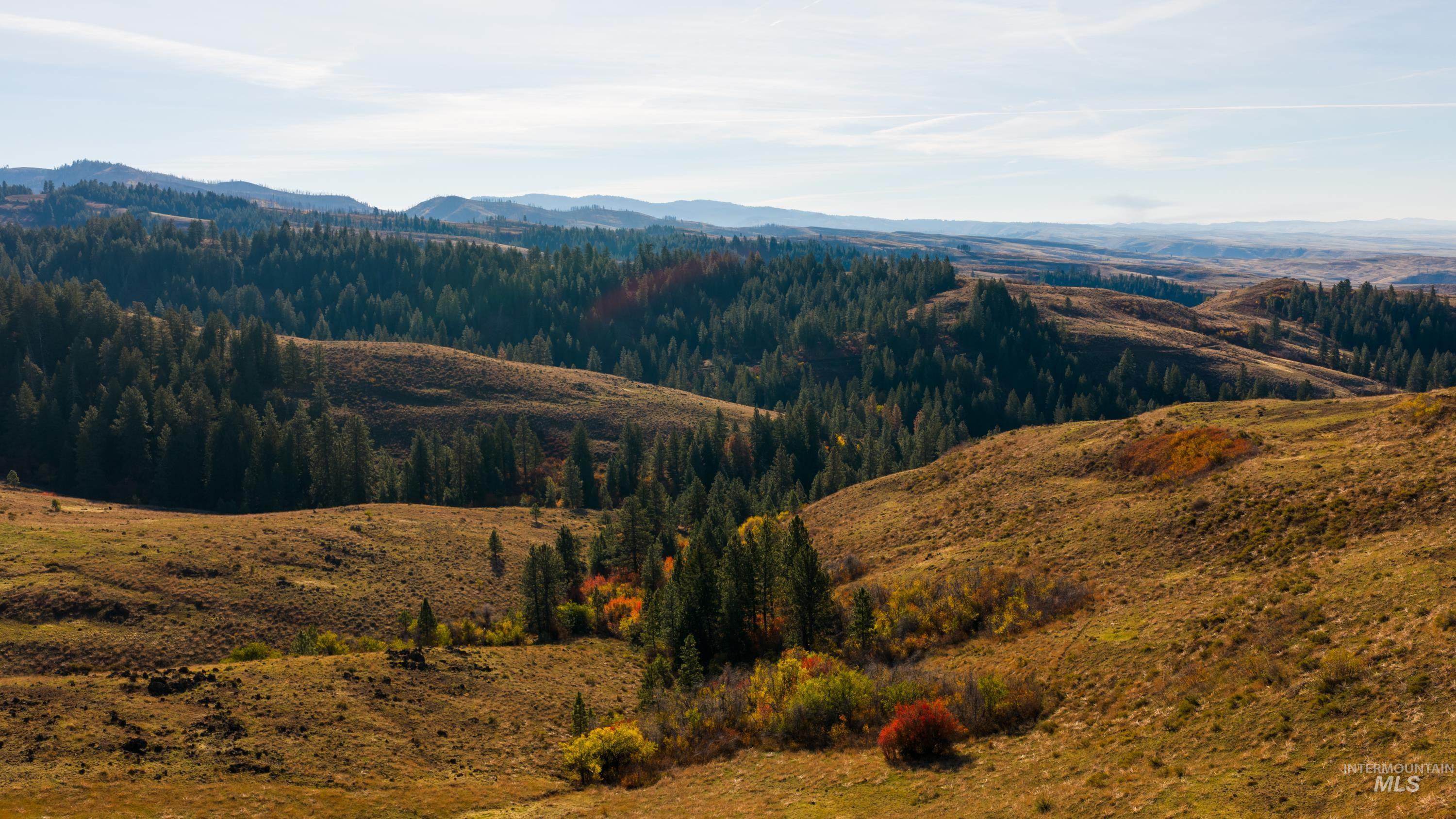 Tbd Tbd Tbd Entire Ranch Council, ID 83612 - Photo 29 of 50