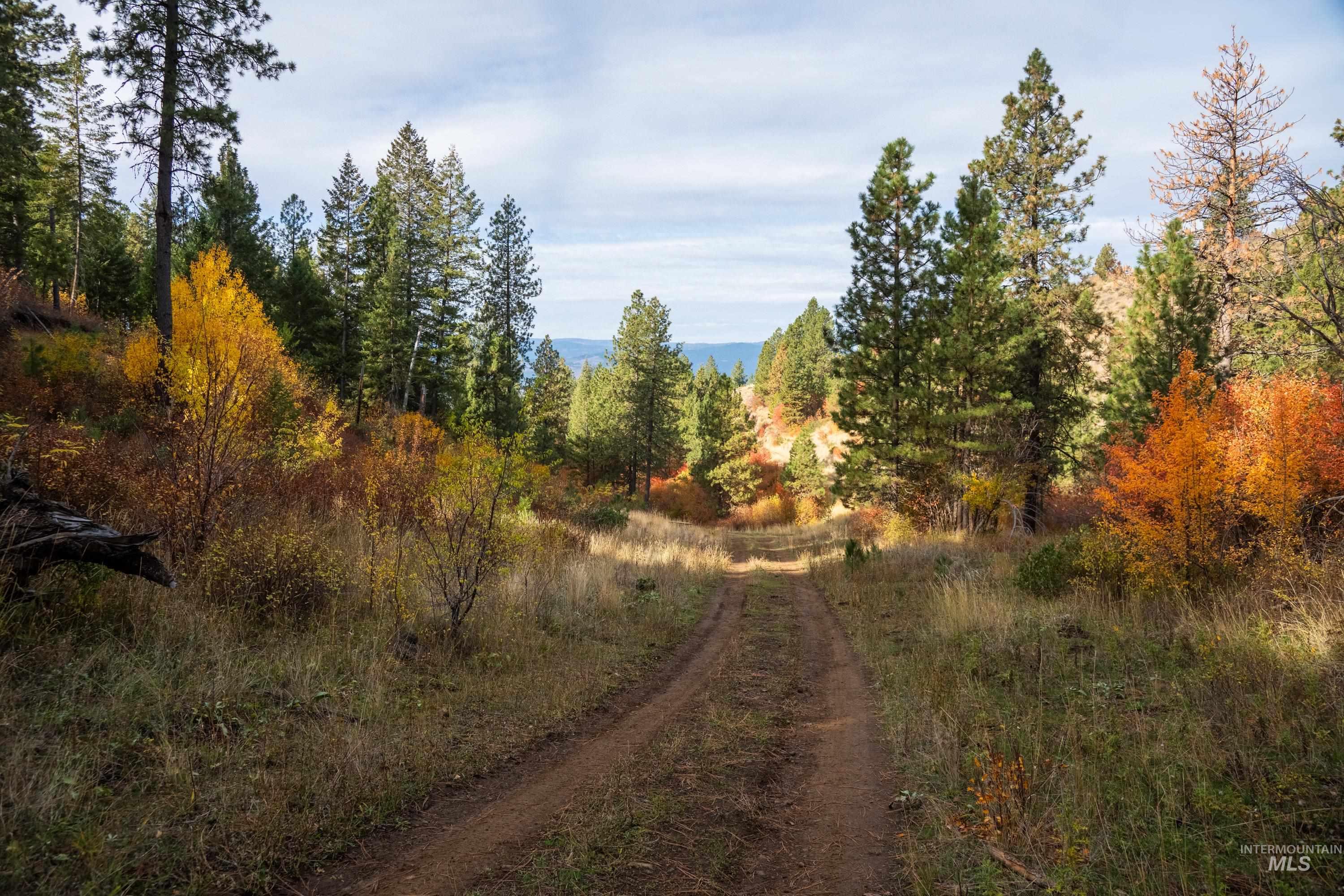 Tbd Tbd Tbd Entire Ranch Council, ID 83612 - Photo 39 of 50