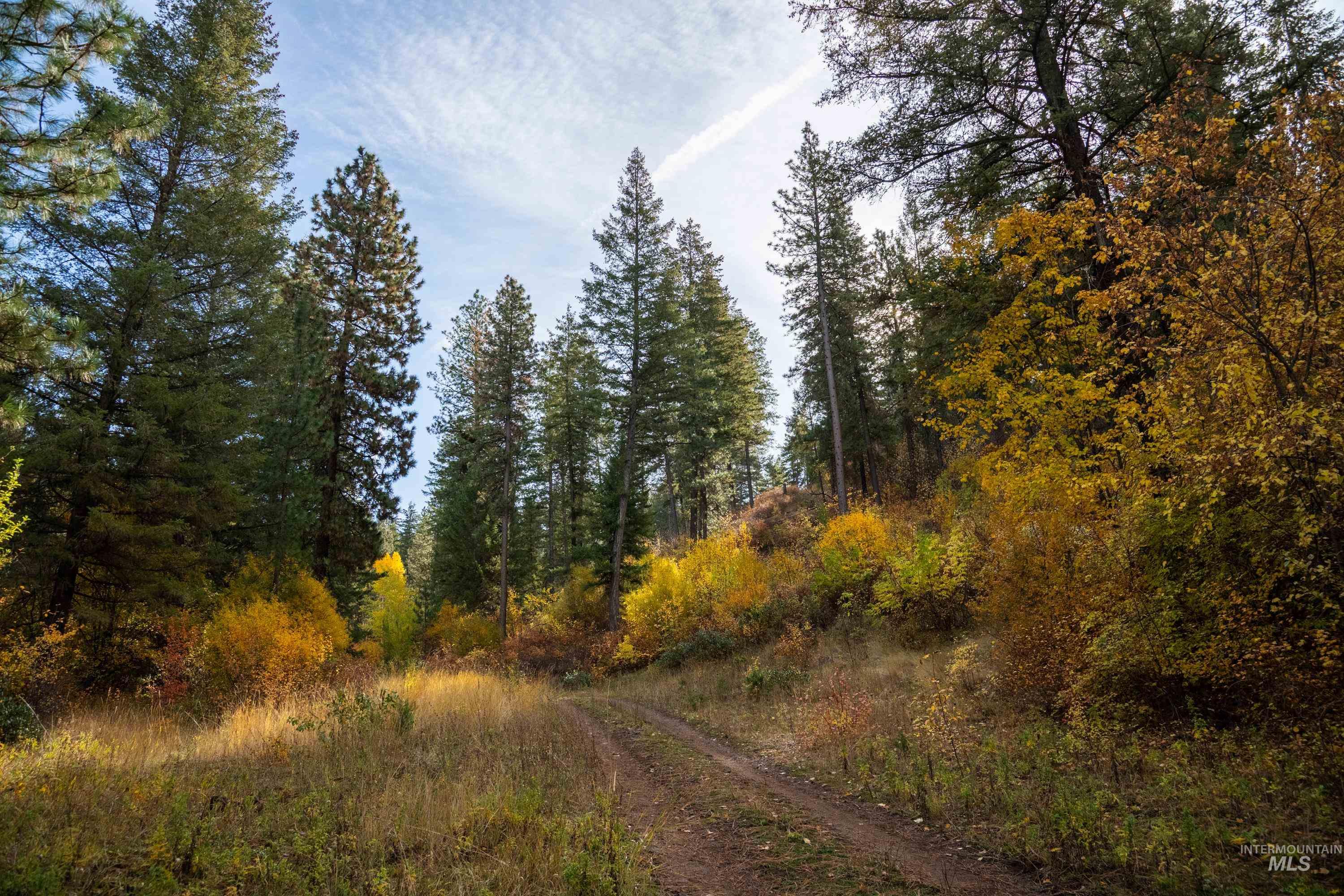 Tbd Tbd Tbd Entire Ranch Council, ID 83612 - Photo 40 of 50