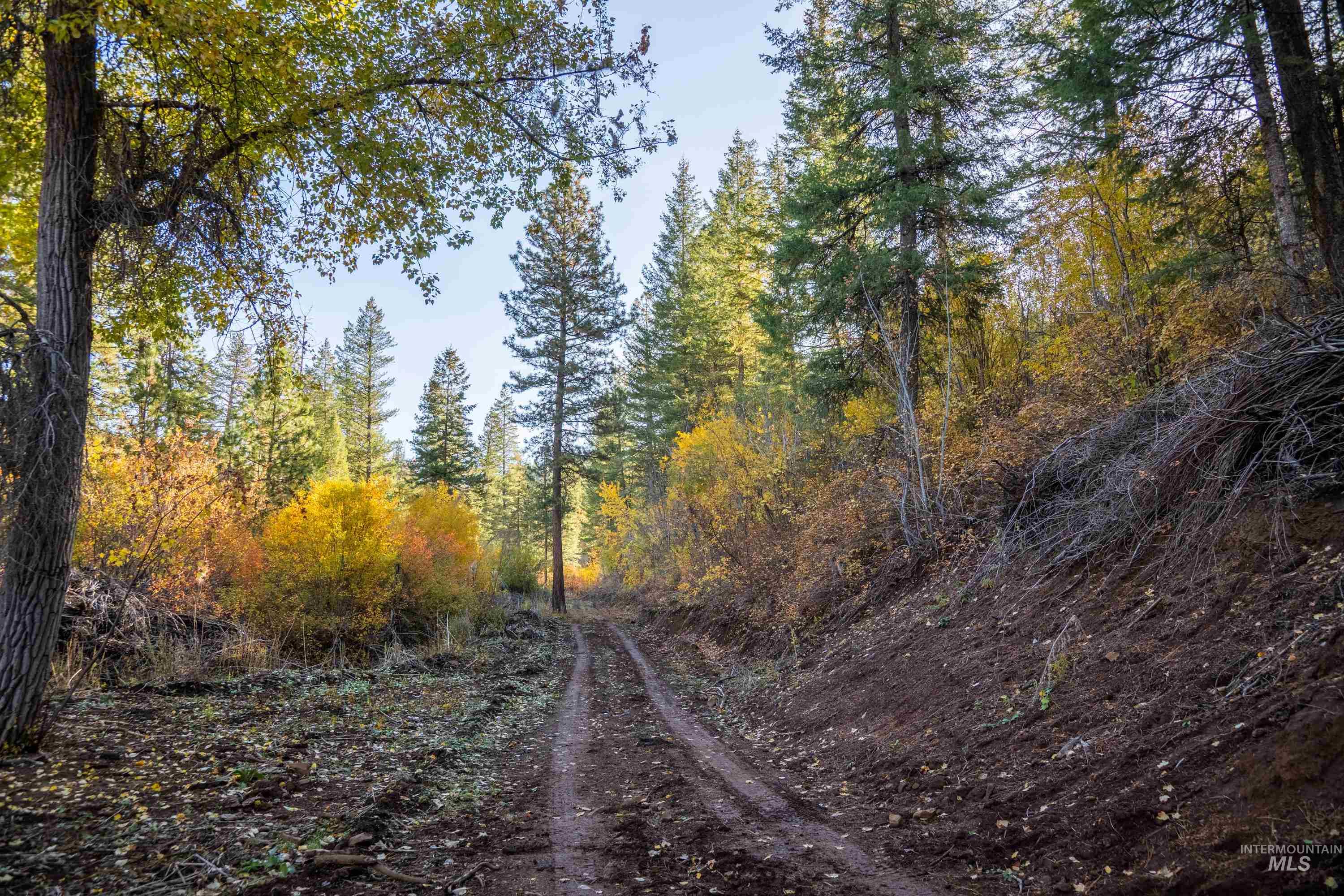 Tbd Tbd Tbd Entire Ranch Council, ID 83612 - Photo 41 of 50