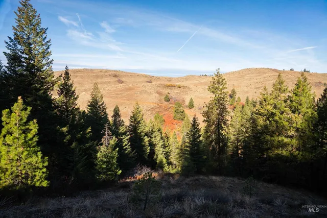 $8,600,000 | Tbd Tbd Tbd Entire Ranch, Council, ID 83612