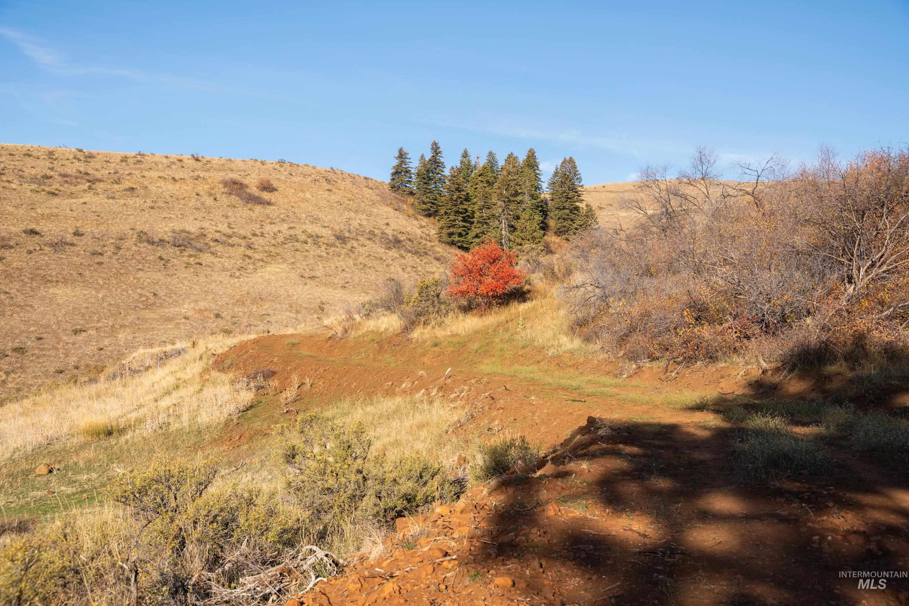 Tbd Tbd Tbd Entire Ranch Council, ID 83612 - Photo 43 of 50