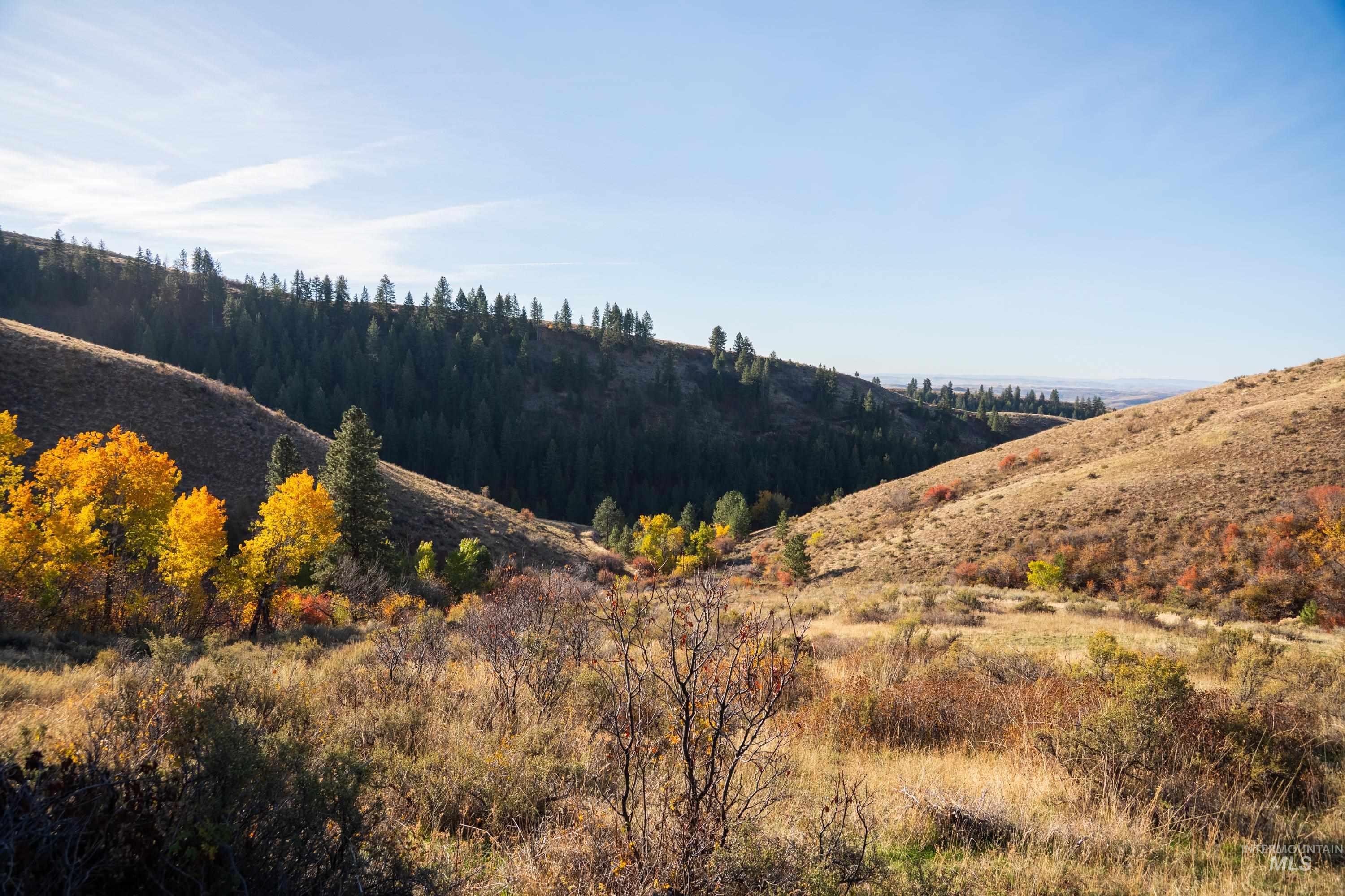 Tbd Tbd Tbd Entire Ranch Council, ID 83612 - Photo 44 of 50