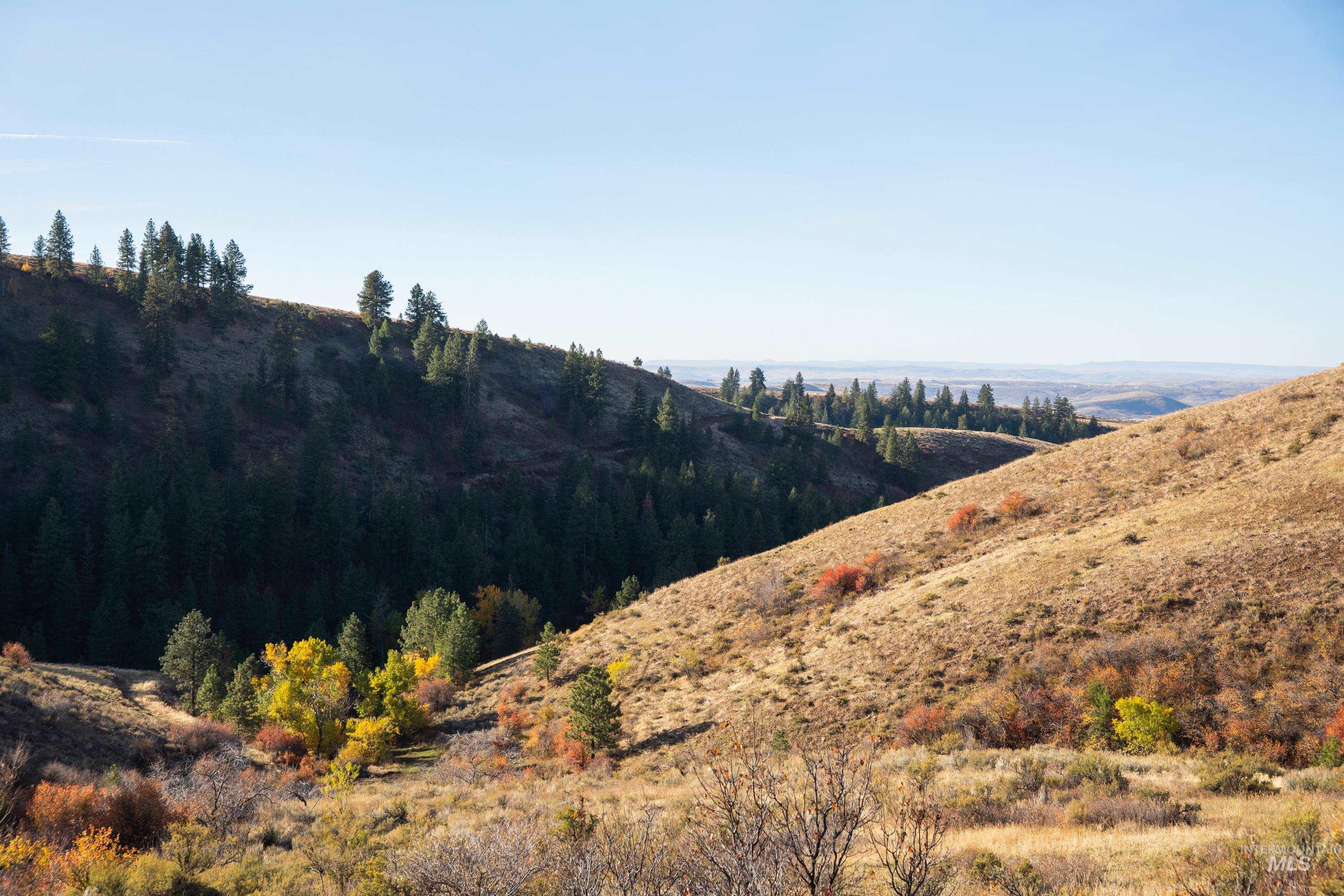 Tbd Tbd Tbd Entire Ranch Council, ID 83612 - Photo 45 of 50