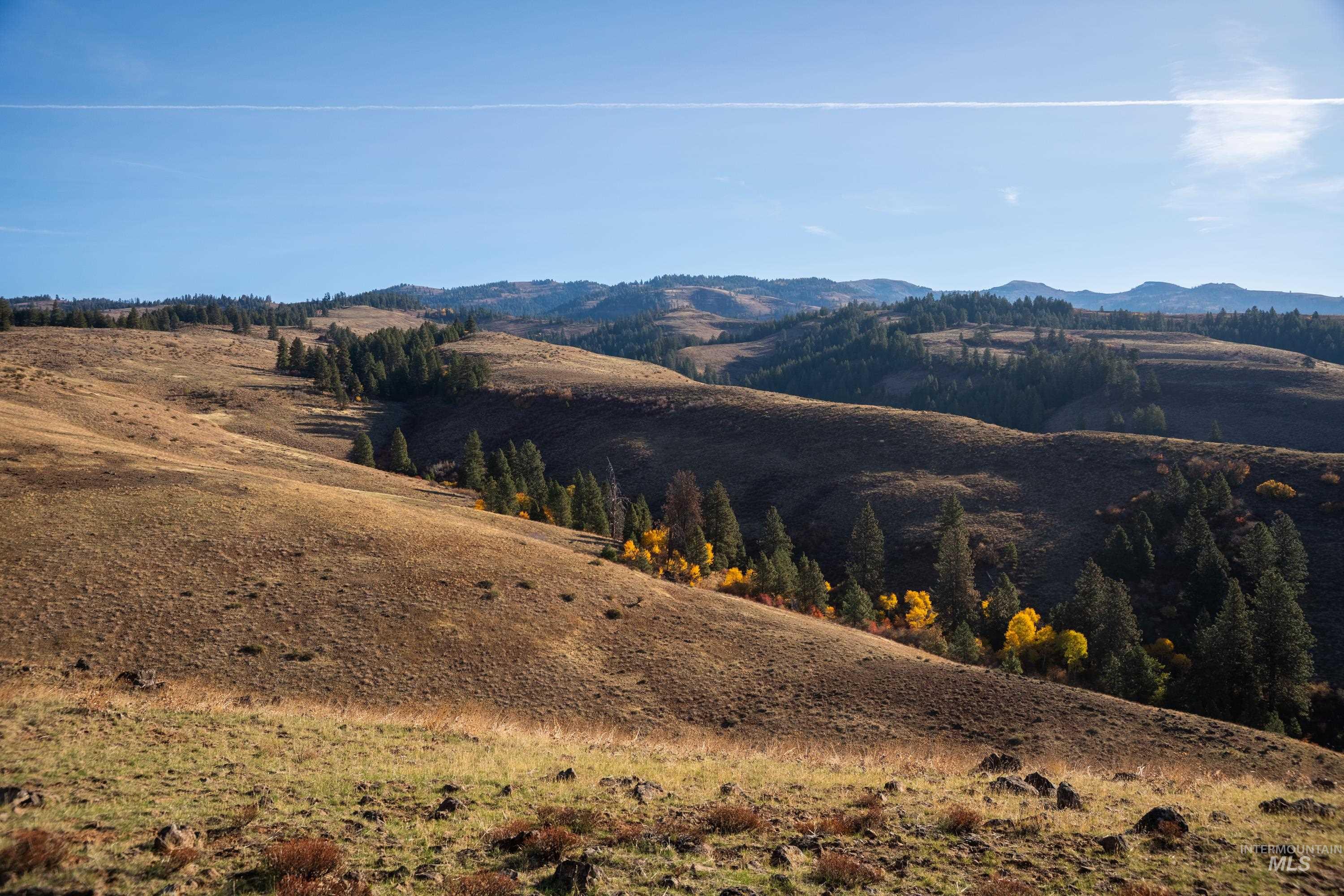 Tbd Tbd Tbd Entire Ranch Council, ID 83612 - Photo 50 of 50
