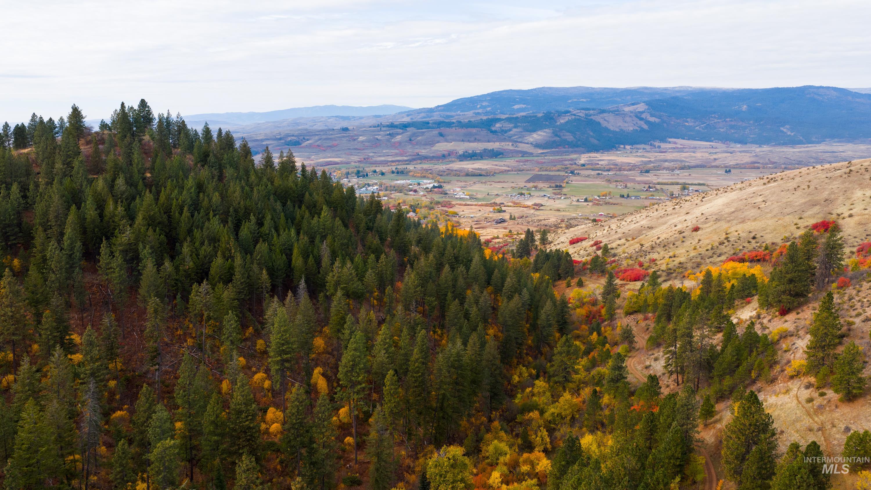 Tbd Tbd Tbd Entire Ranch Council, ID 83612 - Photo 7 of 50