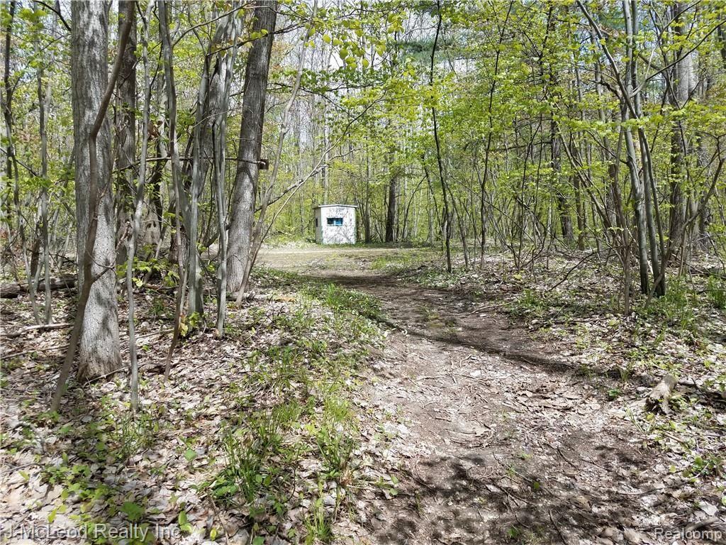 Vl Washburn Road Vassar, MI 48768 - Photo 28 of 37