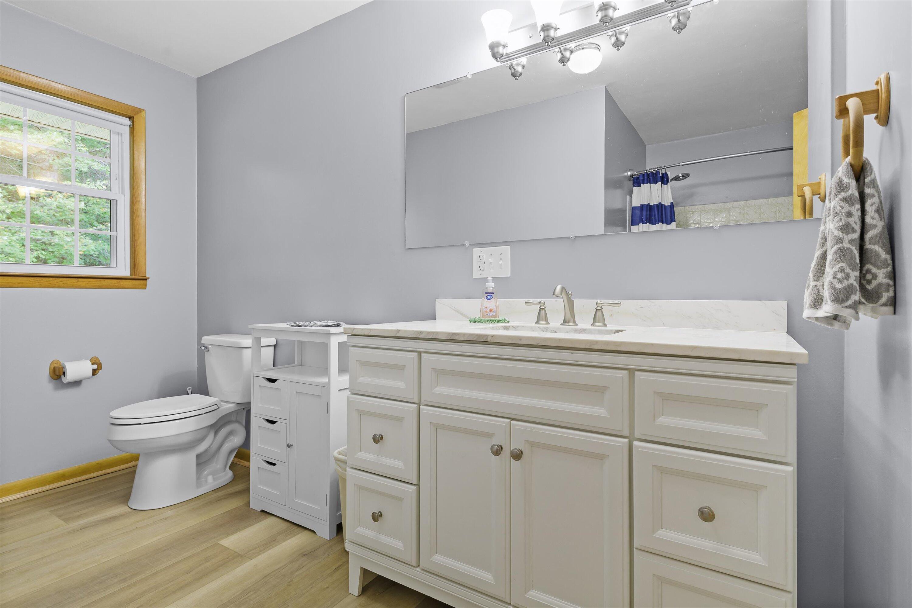 2560 Fishers View Road Shawsville, VA 24162 - Photo 14 of 30 a bathroom with a sink toilet a vanity and mirror