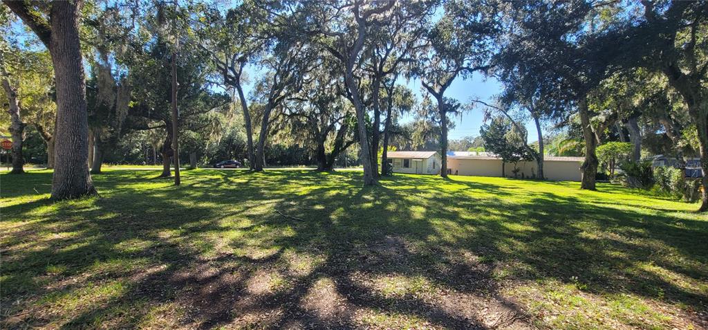 2 Seminole Avenue Palm Coast, FL 32137 - Photo 11 of 18 a view of park with trees