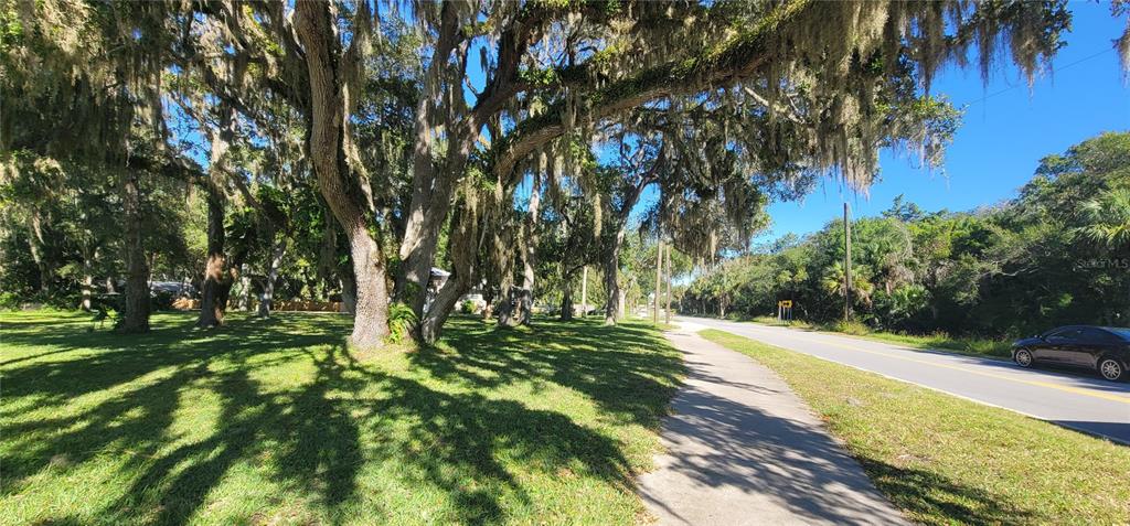2 Seminole Avenue Palm Coast, FL 32137 - Photo 13 of 18 a view of a yard with plants and trees