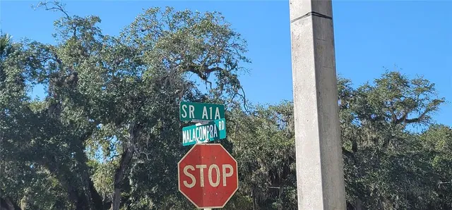 an outdoor space with lots of trees