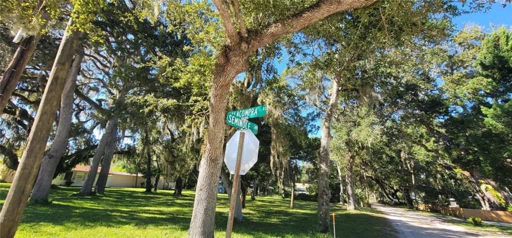 2 Seminole Avenue Palm Coast, FL 32137 - Photo 6 of 18 a view of a garden