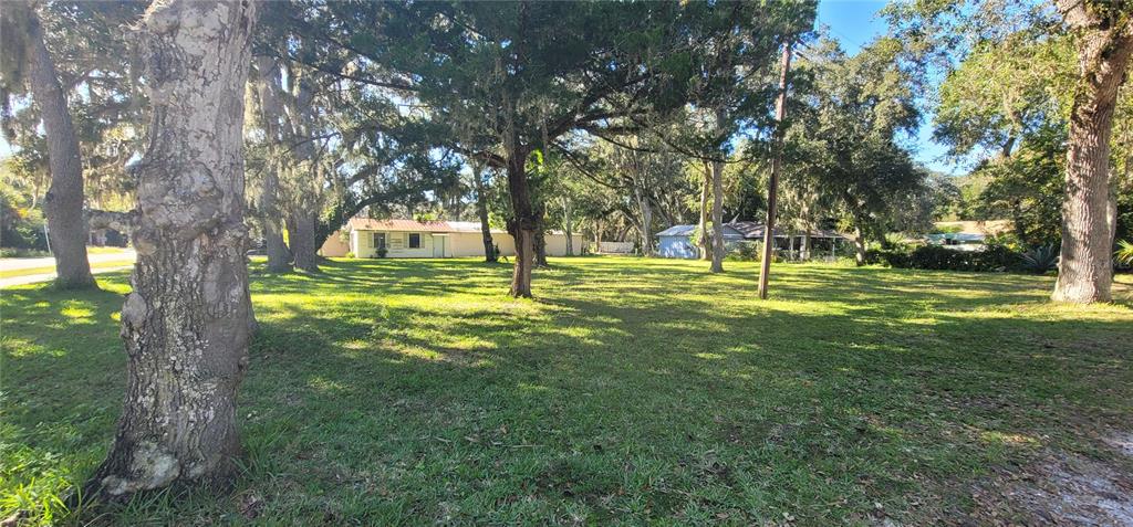 2 Seminole Avenue Palm Coast, FL 32137 - Photo 7 of 18 a view of swimming pool with a tree