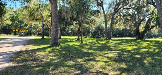 a large tree in the middle of a yard