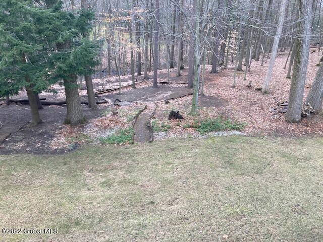 4 Pine Ridge Road Saratoga Springs, NY 12866 - Photo 5 of 61 IMG_8387