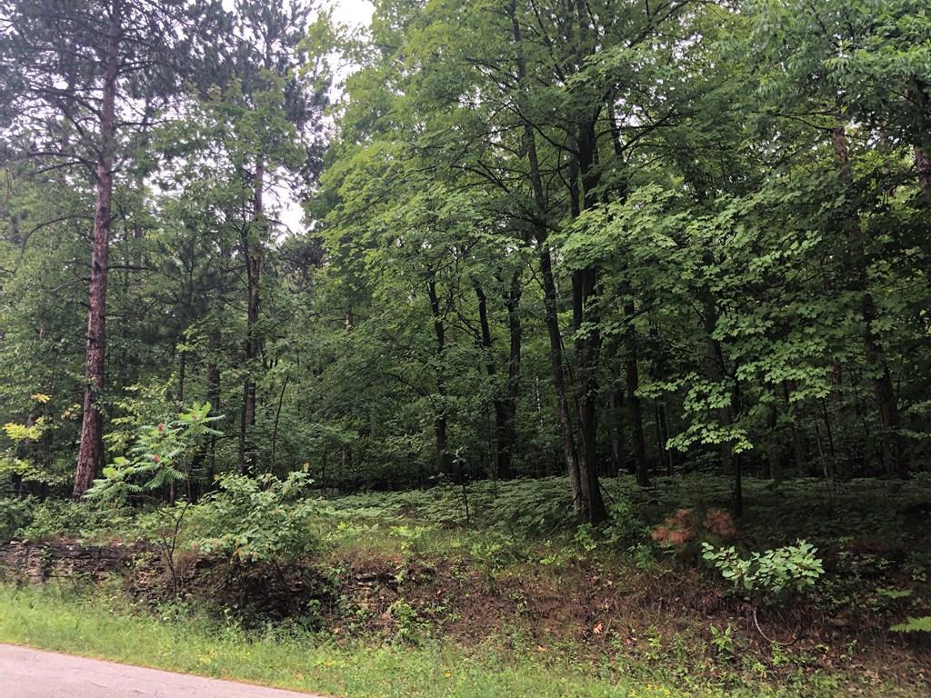 F1-d2 Timber Ridge Road Sturgeon Bay, WI 54235 - Photo 22 of 22