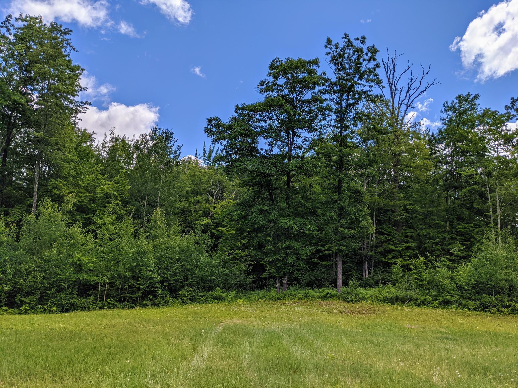 Xyz Starch Road Bruno, MN 55712 - Photo 1 of 1 Gallery Image 1