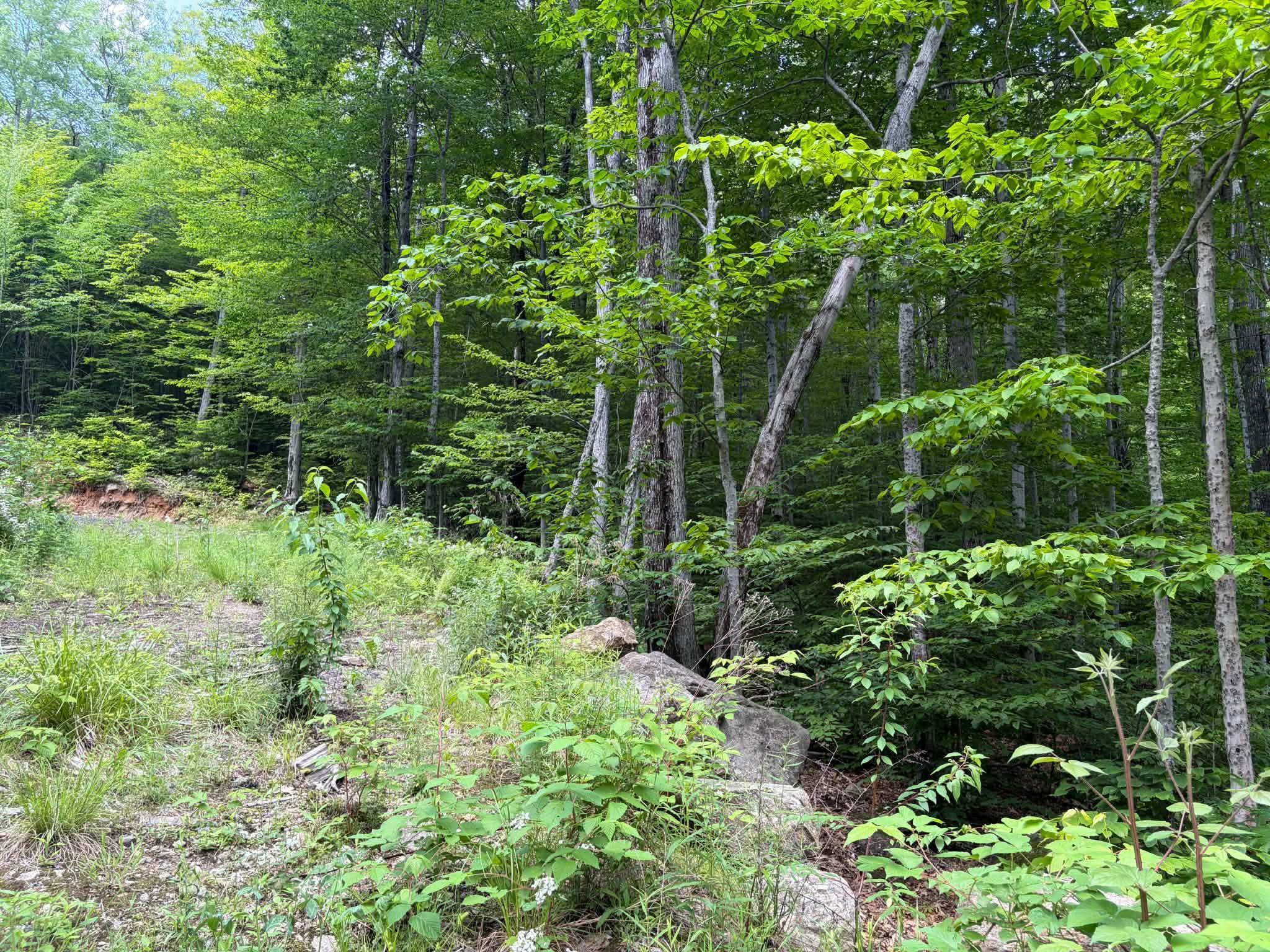 1336 Washburn Road Alexandria, NH 03222 - Photo 20 of 26 Gallery Image 20