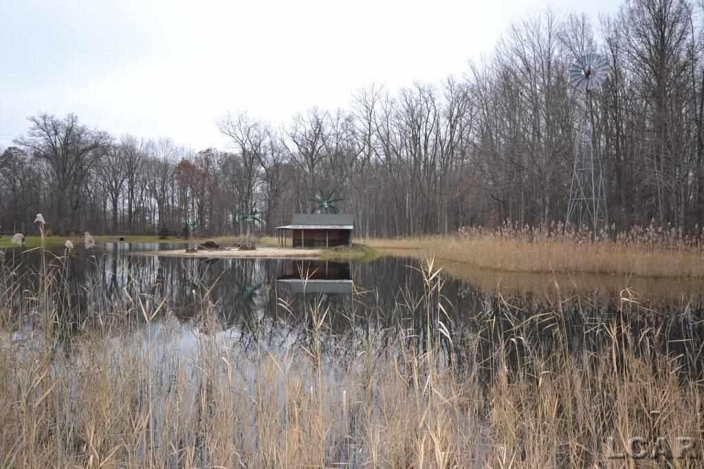 0 Douglas Road Petersburg, MI 49270 - Photo 7 of 11