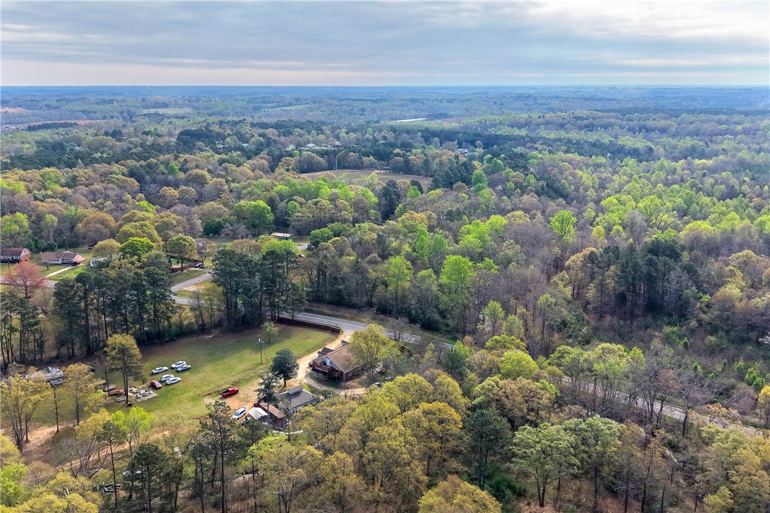 3131 Lullwater Drive Anderson, SC 29624 - Photo 29 of 31 An aerial panorama reveals expansive green landscapes, showcasing serene natural beauty.