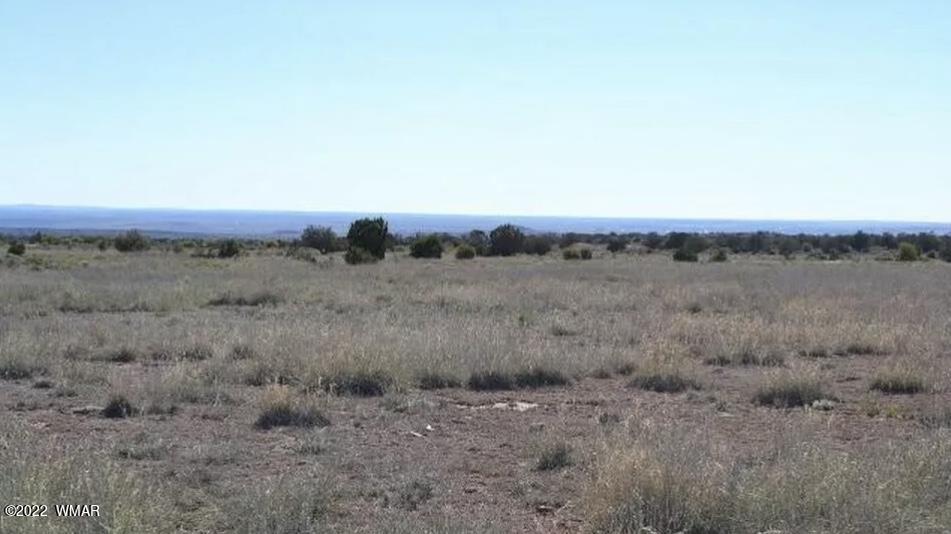 8532 Rattlesnake Road Snowflake, AZ 85937 - Photo 3 of 6 a view of a dry field
