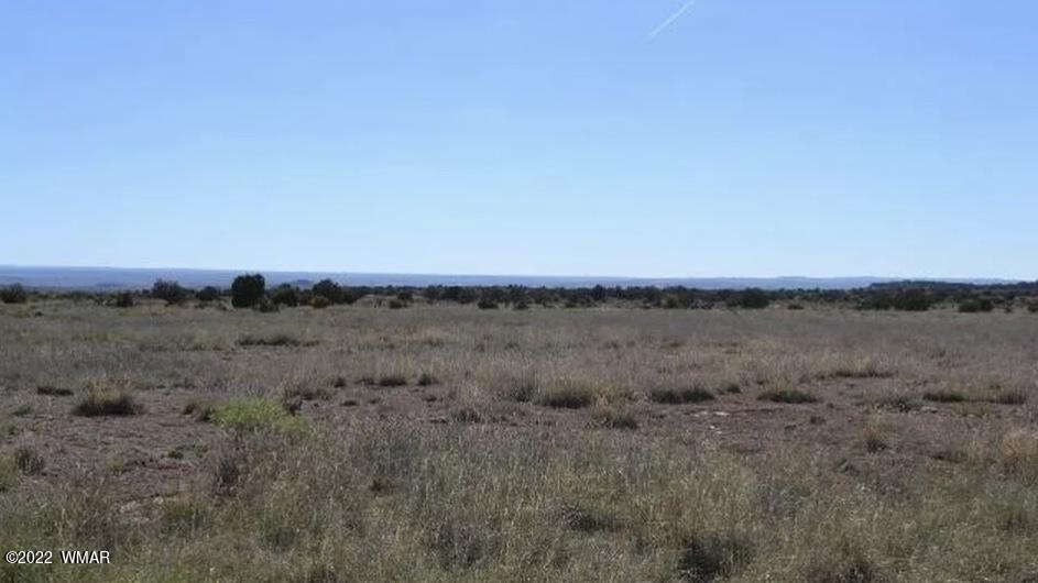 8532 Rattlesnake Road Snowflake, AZ 85937 - Photo 5 of 6 a view of a lake and green valley