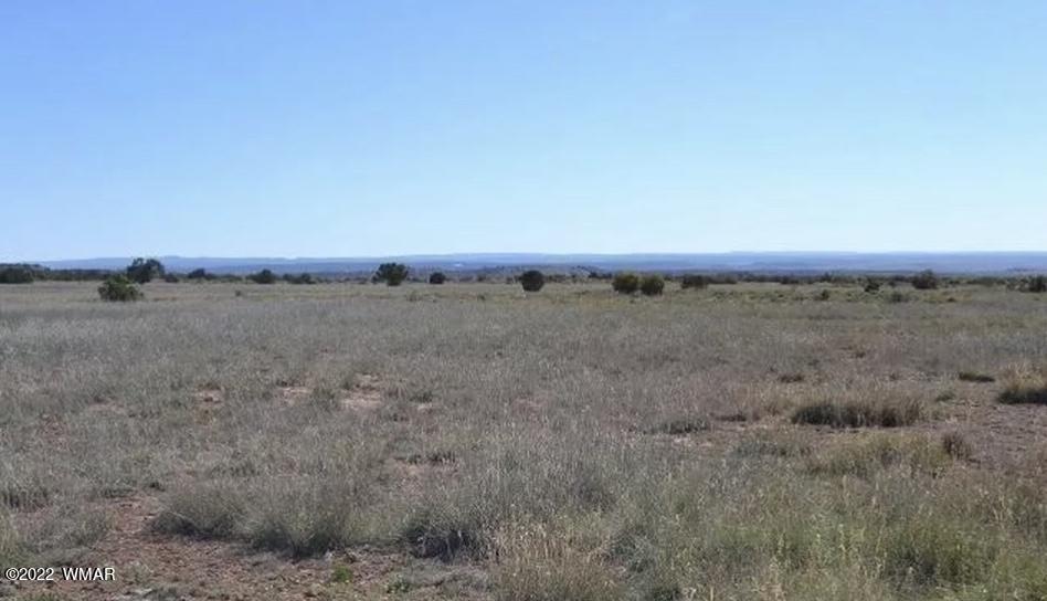 8532 Rattlesnake Road Snowflake, AZ 85937 - Photo 6 of 6 a view of a dry grass field