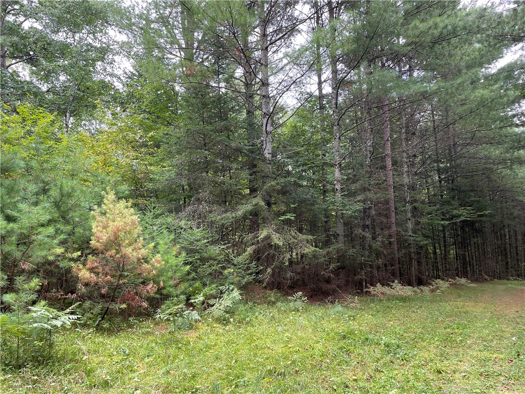 Lot 5 Hermosa Lane Rice Lake, WI 54868 - Photo 1 of 1 Gallery Image 1