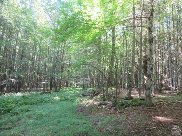 a backyard of a house with lots of green space and garden
