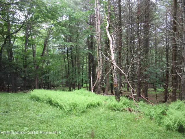 a view of backyard with green space