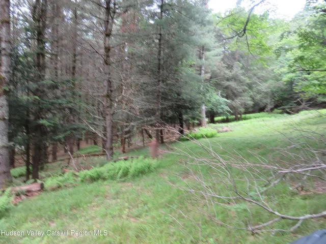 a large yard with lots of green space and trees